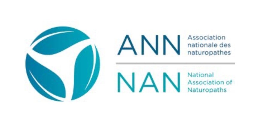 logo ANN-min